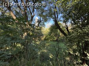 [P17] Rezervația Costanera Sur » foto by AZE
 - 
<span class="allrVoted glyphicon glyphicon-heart hidden" id="av1533233"></span>
<a class="m-l-10 hidden" id="sv1533233" onclick="voting_Foto_DelVot(,1533233,6764)" role="button">șterge vot <span class="glyphicon glyphicon-remove"></span></a>
<a id="v91533233" class=" c-red"  onclick="voting_Foto_SetVot(1533233)" role="button"><span class="glyphicon glyphicon-heart-empty"></span> <b>LIKE</b> = Votează poza</a> <img class="hidden"  id="f1533233W9" src="/imagini/loader.gif" border="0" /><span class="AjErrMes hidden" id="e1533233ErM"></span>