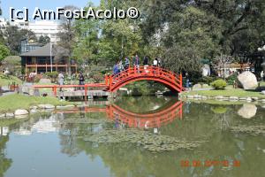 [P38] Tot prin Gradina Japoneza » foto by Pușcașu Marin
 - 
<span class="allrVoted glyphicon glyphicon-heart hidden" id="av925087"></span>
<a class="m-l-10 hidden" id="sv925087" onclick="voting_Foto_DelVot(,925087,6764)" role="button">șterge vot <span class="glyphicon glyphicon-remove"></span></a>
<a id="v9925087" class=" c-red"  onclick="voting_Foto_SetVot(925087)" role="button"><span class="glyphicon glyphicon-heart-empty"></span> <b>LIKE</b> = Votează poza</a> <img class="hidden"  id="f925087W9" src="/imagini/loader.gif" border="0" /><span class="AjErrMes hidden" id="e925087ErM"></span>