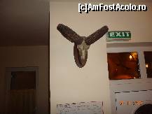 [P16] BAU » foto by vio_andu_gaby
 - 
<span class="allrVoted glyphicon glyphicon-heart hidden" id="av389958"></span>
<a class="m-l-10 hidden" id="sv389958" onclick="voting_Foto_DelVot(,389958,6774)" role="button">șterge vot <span class="glyphicon glyphicon-remove"></span></a>
<a id="v9389958" class=" c-red"  onclick="voting_Foto_SetVot(389958)" role="button"><span class="glyphicon glyphicon-heart-empty"></span> <b>LIKE</b> = Votează poza</a> <img class="hidden"  id="f389958W9" src="/imagini/loader.gif" border="0" /><span class="AjErrMes hidden" id="e389958ErM"></span>