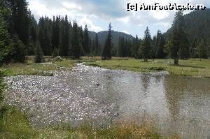 [P10] peisaj în Turbăria Lăptici » foto by marocanu21
 - 
<span class="allrVoted glyphicon glyphicon-heart hidden" id="av571677"></span>
<a class="m-l-10 hidden" id="sv571677" onclick="voting_Foto_DelVot(,571677,6777)" role="button">șterge vot <span class="glyphicon glyphicon-remove"></span></a>
<a id="v9571677" class=" c-red"  onclick="voting_Foto_SetVot(571677)" role="button"><span class="glyphicon glyphicon-heart-empty"></span> <b>LIKE</b> = Votează poza</a> <img class="hidden"  id="f571677W9" src="/imagini/loader.gif" border="0" /><span class="AjErrMes hidden" id="e571677ErM"></span>