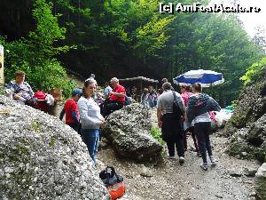 [P17] la cascada Urlătoarea » foto by marocanu21
 - 
<span class="allrVoted glyphicon glyphicon-heart hidden" id="av571684"></span>
<a class="m-l-10 hidden" id="sv571684" onclick="voting_Foto_DelVot(,571684,6777)" role="button">șterge vot <span class="glyphicon glyphicon-remove"></span></a>
<a id="v9571684" class=" c-red"  onclick="voting_Foto_SetVot(571684)" role="button"><span class="glyphicon glyphicon-heart-empty"></span> <b>LIKE</b> = Votează poza</a> <img class="hidden"  id="f571684W9" src="/imagini/loader.gif" border="0" /><span class="AjErrMes hidden" id="e571684ErM"></span>
