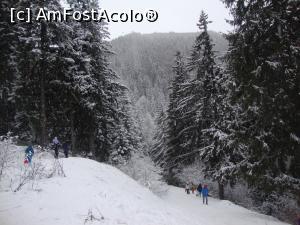 [P10] Ne aflam din nou pe derdelușul de la Cota 1400. Tocmai începuse să ningă.  » foto by Floryn81
 - 
<span class="allrVoted glyphicon glyphicon-heart hidden" id="av935918"></span>
<a class="m-l-10 hidden" id="sv935918" onclick="voting_Foto_DelVot(,935918,6777)" role="button">șterge vot <span class="glyphicon glyphicon-remove"></span></a>
<a id="v9935918" class=" c-red"  onclick="voting_Foto_SetVot(935918)" role="button"><span class="glyphicon glyphicon-heart-empty"></span> <b>LIKE</b> = Votează poza</a> <img class="hidden"  id="f935918W9" src="/imagini/loader.gif" border="0" /><span class="AjErrMes hidden" id="e935918ErM"></span>
