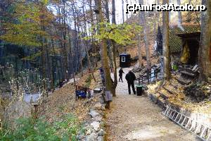 [P22] Peștera Cetății, Râșnov - la intrare » foto by makuy*
 - 
<span class="allrVoted glyphicon glyphicon-heart hidden" id="av705483"></span>
<a class="m-l-10 hidden" id="sv705483" onclick="voting_Foto_DelVot(,705483,6777)" role="button">șterge vot <span class="glyphicon glyphicon-remove"></span></a>
<a id="v9705483" class=" c-red"  onclick="voting_Foto_SetVot(705483)" role="button"><span class="glyphicon glyphicon-heart-empty"></span> <b>LIKE</b> = Votează poza</a> <img class="hidden"  id="f705483W9" src="/imagini/loader.gif" border="0" /><span class="AjErrMes hidden" id="e705483ErM"></span>
