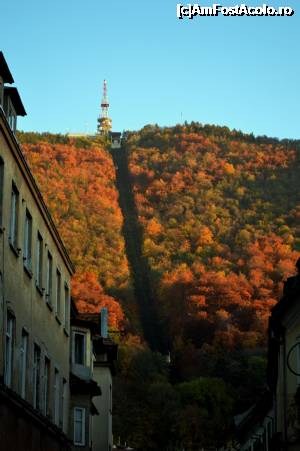 [P34] Brașov - impresie » foto by makuy*
 - 
<span class="allrVoted glyphicon glyphicon-heart hidden" id="av705496"></span>
<a class="m-l-10 hidden" id="sv705496" onclick="voting_Foto_DelVot(,705496,6777)" role="button">șterge vot <span class="glyphicon glyphicon-remove"></span></a>
<a id="v9705496" class=" c-red"  onclick="voting_Foto_SetVot(705496)" role="button"><span class="glyphicon glyphicon-heart-empty"></span> <b>LIKE</b> = Votează poza</a> <img class="hidden"  id="f705496W9" src="/imagini/loader.gif" border="0" /><span class="AjErrMes hidden" id="e705496ErM"></span>