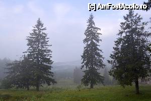 [P01] Cota 1000 acoperita de ceata » foto by DarkAng3L
 - 
<span class="allrVoted glyphicon glyphicon-heart hidden" id="av587710"></span>
<a class="m-l-10 hidden" id="sv587710" onclick="voting_Foto_DelVot(,587710,6777)" role="button">șterge vot <span class="glyphicon glyphicon-remove"></span></a>
<a id="v9587710" class=" c-red"  onclick="voting_Foto_SetVot(587710)" role="button"><span class="glyphicon glyphicon-heart-empty"></span> <b>LIKE</b> = Votează poza</a> <img class="hidden"  id="f587710W9" src="/imagini/loader.gif" border="0" /><span class="AjErrMes hidden" id="e587710ErM"></span>