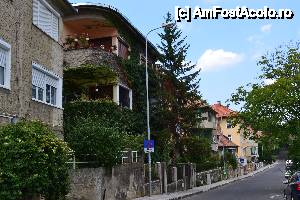 [P11] In drum spre Cetatuia, Brasov » foto by DarkAng3L
 - 
<span class="allrVoted glyphicon glyphicon-heart hidden" id="av587720"></span>
<a class="m-l-10 hidden" id="sv587720" onclick="voting_Foto_DelVot(,587720,6777)" role="button">șterge vot <span class="glyphicon glyphicon-remove"></span></a>
<a id="v9587720" class=" c-red"  onclick="voting_Foto_SetVot(587720)" role="button"><span class="glyphicon glyphicon-heart-empty"></span> <b>LIKE</b> = Votează poza</a> <img class="hidden"  id="f587720W9" src="/imagini/loader.gif" border="0" /><span class="AjErrMes hidden" id="e587720ErM"></span>