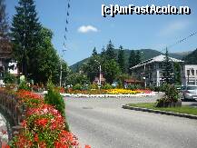 [P06] Sinaia mai plina de flori si mai aranjata ca in alti ani » foto by bogdan 75
 - 
<span class="allrVoted glyphicon glyphicon-heart hidden" id="av110147"></span>
<a class="m-l-10 hidden" id="sv110147" onclick="voting_Foto_DelVot(,110147,6777)" role="button">șterge vot <span class="glyphicon glyphicon-remove"></span></a>
<a id="v9110147" class=" c-red"  onclick="voting_Foto_SetVot(110147)" role="button"><span class="glyphicon glyphicon-heart-empty"></span> <b>LIKE</b> = Votează poza</a> <img class="hidden"  id="f110147W9" src="/imagini/loader.gif" border="0" /><span class="AjErrMes hidden" id="e110147ErM"></span>