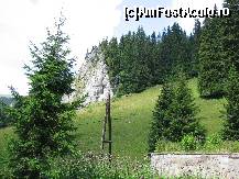 [P26] Un perete tocmai bun pt alpinisti. » foto by ninaa
 - 
<span class="allrVoted glyphicon glyphicon-heart hidden" id="av141879"></span>
<a class="m-l-10 hidden" id="sv141879" onclick="voting_Foto_DelVot(,141879,6777)" role="button">șterge vot <span class="glyphicon glyphicon-remove"></span></a>
<a id="v9141879" class=" c-red"  onclick="voting_Foto_SetVot(141879)" role="button"><span class="glyphicon glyphicon-heart-empty"></span> <b>LIKE</b> = Votează poza</a> <img class="hidden"  id="f141879W9" src="/imagini/loader.gif" border="0" /><span class="AjErrMes hidden" id="e141879ErM"></span>