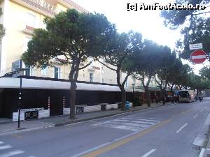 [P05] Hotel Verdi - bulevardul larg, flancat de pini, pe care este localizat » foto by sunflower
 - 
<span class="allrVoted glyphicon glyphicon-heart hidden" id="av601535"></span>
<a class="m-l-10 hidden" id="sv601535" onclick="voting_Foto_DelVot(,601535,6791)" role="button">șterge vot <span class="glyphicon glyphicon-remove"></span></a>
<a id="v9601535" class=" c-red"  onclick="voting_Foto_SetVot(601535)" role="button"><span class="glyphicon glyphicon-heart-empty"></span> <b>LIKE</b> = Votează poza</a> <img class="hidden"  id="f601535W9" src="/imagini/loader.gif" border="0" /><span class="AjErrMes hidden" id="e601535ErM"></span>