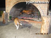 [P09] Ce-as fura si eu o bucatica !!! » foto by BEBEPETRESCU
 - 
<span class="allrVoted glyphicon glyphicon-heart hidden" id="av260958"></span>
<a class="m-l-10 hidden" id="sv260958" onclick="voting_Foto_DelVot(,260958,6792)" role="button">șterge vot <span class="glyphicon glyphicon-remove"></span></a>
<a id="v9260958" class=" c-red"  onclick="voting_Foto_SetVot(260958)" role="button"><span class="glyphicon glyphicon-heart-empty"></span> <b>LIKE</b> = Votează poza</a> <img class="hidden"  id="f260958W9" src="/imagini/loader.gif" border="0" /><span class="AjErrMes hidden" id="e260958ErM"></span>