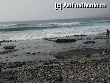 [P20] plaja din dreptul hotelului Las Palmeras, stancoasa si pietroasa » foto by Delight
 - 
<span class="allrVoted glyphicon glyphicon-heart hidden" id="av111271"></span>
<a class="m-l-10 hidden" id="sv111271" onclick="voting_Foto_DelVot(,111271,6800)" role="button">șterge vot <span class="glyphicon glyphicon-remove"></span></a>
<a id="v9111271" class=" c-red"  onclick="voting_Foto_SetVot(111271)" role="button"><span class="glyphicon glyphicon-heart-empty"></span> <b>LIKE</b> = Votează poza</a> <img class="hidden"  id="f111271W9" src="/imagini/loader.gif" border="0" /><span class="AjErrMes hidden" id="e111271ErM"></span>