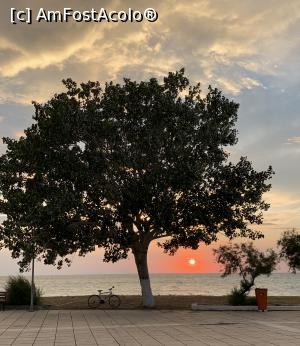 [P01] Apusurile din Samothraki, pentru care am lăsat baltă alte planuri stabilite pentru Rusalii.  » foto by Aurici
 - 
<span class="allrVoted glyphicon glyphicon-heart hidden" id="av1082099"></span>
<a class="m-l-10 hidden" id="sv1082099" onclick="voting_Foto_DelVot(,1082099,6801)" role="button">șterge vot <span class="glyphicon glyphicon-remove"></span></a>
<a id="v91082099" class=" c-red"  onclick="voting_Foto_SetVot(1082099)" role="button"><span class="glyphicon glyphicon-heart-empty"></span> <b>LIKE</b> = Votează poza</a> <img class="hidden"  id="f1082099W9" src="/imagini/loader.gif" border="0" /><span class="AjErrMes hidden" id="e1082099ErM"></span>