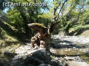 [P33] Spre cascada Fonias » foto by Mika
 - 
<span class="allrVoted glyphicon glyphicon-heart hidden" id="av1232573"></span>
<a class="m-l-10 hidden" id="sv1232573" onclick="voting_Foto_DelVot(,1232573,6801)" role="button">șterge vot <span class="glyphicon glyphicon-remove"></span></a>
<a id="v91232573" class=" c-red"  onclick="voting_Foto_SetVot(1232573)" role="button"><span class="glyphicon glyphicon-heart-empty"></span> <b>LIKE</b> = Votează poza</a> <img class="hidden"  id="f1232573W9" src="/imagini/loader.gif" border="0" /><span class="AjErrMes hidden" id="e1232573ErM"></span>