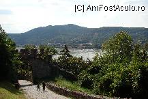 [P34] Cam asta a fost tot ... » foto by rodik
 - 
<span class="allrVoted glyphicon glyphicon-heart hidden" id="av111134"></span>
<a class="m-l-10 hidden" id="sv111134" onclick="voting_Foto_DelVot(,111134,6802)" role="button">șterge vot <span class="glyphicon glyphicon-remove"></span></a>
<a id="v9111134" class=" c-red"  onclick="voting_Foto_SetVot(111134)" role="button"><span class="glyphicon glyphicon-heart-empty"></span> <b>LIKE</b> = Votează poza</a> <img class="hidden"  id="f111134W9" src="/imagini/loader.gif" border="0" /><span class="AjErrMes hidden" id="e111134ErM"></span>