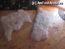 [P20] Pe parchet, in fata paturilor, gasesti cateva blanuri de animale din stepa mongola » foto by dorgo
 - 
<span class="allrVoted glyphicon glyphicon-heart hidden" id="av111309"></span>
<a class="m-l-10 hidden" id="sv111309" onclick="voting_Foto_DelVot(,111309,6804)" role="button">șterge vot <span class="glyphicon glyphicon-remove"></span></a>
<a id="v9111309" class=" c-red"  onclick="voting_Foto_SetVot(111309)" role="button"><span class="glyphicon glyphicon-heart-empty"></span> <b>LIKE</b> = Votează poza</a> <img class="hidden"  id="f111309W9" src="/imagini/loader.gif" border="0" /><span class="AjErrMes hidden" id="e111309ErM"></span>