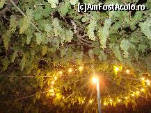 [P18] Acoperisul de la Taverna Sebastian plin de ciorchini de struguri » foto by pink_gabi*
 - 
<span class="allrVoted glyphicon glyphicon-heart hidden" id="av120121"></span>
<a class="m-l-10 hidden" id="sv120121" onclick="voting_Foto_DelVot(,120121,6820)" role="button">șterge vot <span class="glyphicon glyphicon-remove"></span></a>
<a id="v9120121" class=" c-red"  onclick="voting_Foto_SetVot(120121)" role="button"><span class="glyphicon glyphicon-heart-empty"></span> <b>LIKE</b> = Votează poza</a> <img class="hidden"  id="f120121W9" src="/imagini/loader.gif" border="0" /><span class="AjErrMes hidden" id="e120121ErM"></span>