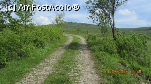 [P06] Se zareste Dealul Bobalna, locul unde trebuie sa ajungem. » foto by EL CAMINANTE
 - 
<span class="allrVoted glyphicon glyphicon-heart hidden" id="av734819"></span>
<a class="m-l-10 hidden" id="sv734819" onclick="voting_Foto_DelVot(,734819,6824)" role="button">șterge vot <span class="glyphicon glyphicon-remove"></span></a>
<a id="v9734819" class=" c-red"  onclick="voting_Foto_SetVot(734819)" role="button"><span class="glyphicon glyphicon-heart-empty"></span> <b>LIKE</b> = Votează poza</a> <img class="hidden"  id="f734819W9" src="/imagini/loader.gif" border="0" /><span class="AjErrMes hidden" id="e734819ErM"></span>