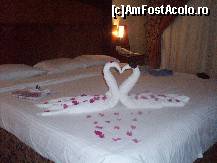 [P01]  -- <small>// FĂRĂ DESCRIERE</small> » foto by osontea
 - 
<span class="allrVoted glyphicon glyphicon-heart hidden" id="av133442"></span>
<a class="m-l-10 hidden" id="sv133442" onclick="voting_Foto_DelVot(,133442,6836)" role="button">șterge vot <span class="glyphicon glyphicon-remove"></span></a>
<a id="v9133442" class=" c-red"  onclick="voting_Foto_SetVot(133442)" role="button"><span class="glyphicon glyphicon-heart-empty"></span> <b>LIKE</b> = Votează poza</a> <img class="hidden"  id="f133442W9" src="/imagini/loader.gif" border="0" /><span class="AjErrMes hidden" id="e133442ErM"></span>