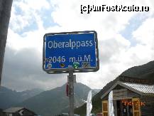 [P05]  -- <small>// FĂRĂ DESCRIERE</small> » foto by Alina Morar
 - 
<span class="allrVoted glyphicon glyphicon-heart hidden" id="av112125"></span>
<a class="m-l-10 hidden" id="sv112125" onclick="voting_Foto_DelVot(,112125,6837)" role="button">șterge vot <span class="glyphicon glyphicon-remove"></span></a>
<a id="v9112125" class=" c-red"  onclick="voting_Foto_SetVot(112125)" role="button"><span class="glyphicon glyphicon-heart-empty"></span> <b>LIKE</b> = Votează poza</a> <img class="hidden"  id="f112125W9" src="/imagini/loader.gif" border="0" /><span class="AjErrMes hidden" id="e112125ErM"></span>