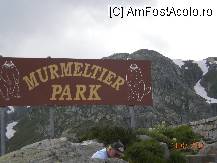 [P64] Parcul cu marmote, fara marmote la ora aceea » foto by Alina Morar
 - 
<span class="allrVoted glyphicon glyphicon-heart hidden" id="av112286"></span>
<a class="m-l-10 hidden" id="sv112286" onclick="voting_Foto_DelVot(,112286,6837)" role="button">șterge vot <span class="glyphicon glyphicon-remove"></span></a>
<a id="v9112286" class=" c-red"  onclick="voting_Foto_SetVot(112286)" role="button"><span class="glyphicon glyphicon-heart-empty"></span> <b>LIKE</b> = Votează poza</a> <img class="hidden"  id="f112286W9" src="/imagini/loader.gif" border="0" /><span class="AjErrMes hidden" id="e112286ErM"></span>