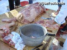 [P12]  -- <small>// FĂRĂ DESCRIERE</small> » foto by IAMANDI
 - 
<span class="allrVoted glyphicon glyphicon-heart hidden" id="av285364"></span>
<a class="m-l-10 hidden" id="sv285364" onclick="voting_Foto_DelVot(,285364,6845)" role="button">șterge vot <span class="glyphicon glyphicon-remove"></span></a>
<a id="v9285364" class=" c-red"  onclick="voting_Foto_SetVot(285364)" role="button"><span class="glyphicon glyphicon-heart-empty"></span> <b>LIKE</b> = Votează poza</a> <img class="hidden"  id="f285364W9" src="/imagini/loader.gif" border="0" /><span class="AjErrMes hidden" id="e285364ErM"></span>