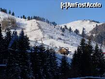 [P14]  -- <small>// FĂRĂ DESCRIERE</small> » foto by IAMANDI
 - 
<span class="allrVoted glyphicon glyphicon-heart hidden" id="av285366"></span>
<a class="m-l-10 hidden" id="sv285366" onclick="voting_Foto_DelVot(,285366,6845)" role="button">șterge vot <span class="glyphicon glyphicon-remove"></span></a>
<a id="v9285366" class=" c-red"  onclick="voting_Foto_SetVot(285366)" role="button"><span class="glyphicon glyphicon-heart-empty"></span> <b>LIKE</b> = Votează poza</a> <img class="hidden"  id="f285366W9" src="/imagini/loader.gif" border="0" /><span class="AjErrMes hidden" id="e285366ErM"></span>