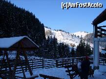 [P15]  -- <small>// FĂRĂ DESCRIERE</small> » foto by IAMANDI
 - 
<span class="allrVoted glyphicon glyphicon-heart hidden" id="av285367"></span>
<a class="m-l-10 hidden" id="sv285367" onclick="voting_Foto_DelVot(,285367,6845)" role="button">șterge vot <span class="glyphicon glyphicon-remove"></span></a>
<a id="v9285367" class=" c-red"  onclick="voting_Foto_SetVot(285367)" role="button"><span class="glyphicon glyphicon-heart-empty"></span> <b>LIKE</b> = Votează poza</a> <img class="hidden"  id="f285367W9" src="/imagini/loader.gif" border="0" /><span class="AjErrMes hidden" id="e285367ErM"></span>