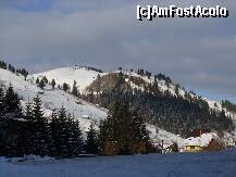 [P03]  -- <small>// FĂRĂ DESCRIERE</small> » foto by IAMANDI
 - 
<span class="allrVoted glyphicon glyphicon-heart hidden" id="av285355"></span>
<a class="m-l-10 hidden" id="sv285355" onclick="voting_Foto_DelVot(,285355,6845)" role="button">șterge vot <span class="glyphicon glyphicon-remove"></span></a>
<a id="v9285355" class=" c-red"  onclick="voting_Foto_SetVot(285355)" role="button"><span class="glyphicon glyphicon-heart-empty"></span> <b>LIKE</b> = Votează poza</a> <img class="hidden"  id="f285355W9" src="/imagini/loader.gif" border="0" /><span class="AjErrMes hidden" id="e285355ErM"></span>