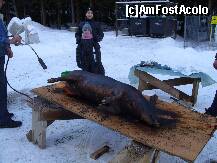 [P04]  -- <small>// FĂRĂ DESCRIERE</small> » foto by IAMANDI
 - 
<span class="allrVoted glyphicon glyphicon-heart hidden" id="av285356"></span>
<a class="m-l-10 hidden" id="sv285356" onclick="voting_Foto_DelVot(,285356,6845)" role="button">șterge vot <span class="glyphicon glyphicon-remove"></span></a>
<a id="v9285356" class=" c-red"  onclick="voting_Foto_SetVot(285356)" role="button"><span class="glyphicon glyphicon-heart-empty"></span> <b>LIKE</b> = Votează poza</a> <img class="hidden"  id="f285356W9" src="/imagini/loader.gif" border="0" /><span class="AjErrMes hidden" id="e285356ErM"></span>