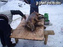 [P05]  -- <small>// FĂRĂ DESCRIERE</small> » foto by IAMANDI
 - 
<span class="allrVoted glyphicon glyphicon-heart hidden" id="av285357"></span>
<a class="m-l-10 hidden" id="sv285357" onclick="voting_Foto_DelVot(,285357,6845)" role="button">șterge vot <span class="glyphicon glyphicon-remove"></span></a>
<a id="v9285357" class=" c-red"  onclick="voting_Foto_SetVot(285357)" role="button"><span class="glyphicon glyphicon-heart-empty"></span> <b>LIKE</b> = Votează poza</a> <img class="hidden"  id="f285357W9" src="/imagini/loader.gif" border="0" /><span class="AjErrMes hidden" id="e285357ErM"></span>