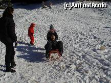 [P06]  -- <small>// FĂRĂ DESCRIERE</small> » foto by IAMANDI
 - 
<span class="allrVoted glyphicon glyphicon-heart hidden" id="av285358"></span>
<a class="m-l-10 hidden" id="sv285358" onclick="voting_Foto_DelVot(,285358,6845)" role="button">șterge vot <span class="glyphicon glyphicon-remove"></span></a>
<a id="v9285358" class=" c-red"  onclick="voting_Foto_SetVot(285358)" role="button"><span class="glyphicon glyphicon-heart-empty"></span> <b>LIKE</b> = Votează poza</a> <img class="hidden"  id="f285358W9" src="/imagini/loader.gif" border="0" /><span class="AjErrMes hidden" id="e285358ErM"></span>