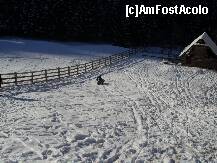 [P07]  -- <small>// FĂRĂ DESCRIERE</small> » foto by IAMANDI
 - 
<span class="allrVoted glyphicon glyphicon-heart hidden" id="av285359"></span>
<a class="m-l-10 hidden" id="sv285359" onclick="voting_Foto_DelVot(,285359,6845)" role="button">șterge vot <span class="glyphicon glyphicon-remove"></span></a>
<a id="v9285359" class=" c-red"  onclick="voting_Foto_SetVot(285359)" role="button"><span class="glyphicon glyphicon-heart-empty"></span> <b>LIKE</b> = Votează poza</a> <img class="hidden"  id="f285359W9" src="/imagini/loader.gif" border="0" /><span class="AjErrMes hidden" id="e285359ErM"></span>