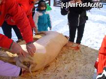 [P09]  -- <small>// FĂRĂ DESCRIERE</small> » foto by IAMANDI
 - 
<span class="allrVoted glyphicon glyphicon-heart hidden" id="av285361"></span>
<a class="m-l-10 hidden" id="sv285361" onclick="voting_Foto_DelVot(,285361,6845)" role="button">șterge vot <span class="glyphicon glyphicon-remove"></span></a>
<a id="v9285361" class=" c-red"  onclick="voting_Foto_SetVot(285361)" role="button"><span class="glyphicon glyphicon-heart-empty"></span> <b>LIKE</b> = Votează poza</a> <img class="hidden"  id="f285361W9" src="/imagini/loader.gif" border="0" /><span class="AjErrMes hidden" id="e285361ErM"></span>