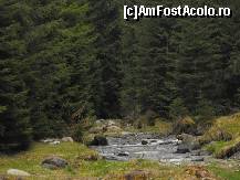 [P03] valea bangaleasa-unde este si hotelul » foto by dariac
 - 
<span class="allrVoted glyphicon glyphicon-heart hidden" id="av247684"></span>
<a class="m-l-10 hidden" id="sv247684" onclick="voting_Foto_DelVot(,247684,6845)" role="button">șterge vot <span class="glyphicon glyphicon-remove"></span></a>
<a id="v9247684" class=" c-red"  onclick="voting_Foto_SetVot(247684)" role="button"><span class="glyphicon glyphicon-heart-empty"></span> <b>LIKE</b> = Votează poza</a> <img class="hidden"  id="f247684W9" src="/imagini/loader.gif" border="0" /><span class="AjErrMes hidden" id="e247684ErM"></span>