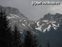 [P05]  -- <small>// FĂRĂ DESCRIERE</small> » foto by dariac
 - 
<span class="allrVoted glyphicon glyphicon-heart hidden" id="av247686"></span>
<a class="m-l-10 hidden" id="sv247686" onclick="voting_Foto_DelVot(,247686,6845)" role="button">șterge vot <span class="glyphicon glyphicon-remove"></span></a>
<a id="v9247686" class=" c-red"  onclick="voting_Foto_SetVot(247686)" role="button"><span class="glyphicon glyphicon-heart-empty"></span> <b>LIKE</b> = Votează poza</a> <img class="hidden"  id="f247686W9" src="/imagini/loader.gif" border="0" /><span class="AjErrMes hidden" id="e247686ErM"></span>