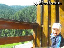 [P06] in balcon » foto by dariac
 - 
<span class="allrVoted glyphicon glyphicon-heart hidden" id="av247687"></span>
<a class="m-l-10 hidden" id="sv247687" onclick="voting_Foto_DelVot(,247687,6845)" role="button">șterge vot <span class="glyphicon glyphicon-remove"></span></a>
<a id="v9247687" class=" c-red"  onclick="voting_Foto_SetVot(247687)" role="button"><span class="glyphicon glyphicon-heart-empty"></span> <b>LIKE</b> = Votează poza</a> <img class="hidden"  id="f247687W9" src="/imagini/loader.gif" border="0" /><span class="AjErrMes hidden" id="e247687ErM"></span>