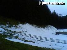 [P16]  -- <small>// FĂRĂ DESCRIERE</small> » foto by cristina_s*
 - 
<span class="allrVoted glyphicon glyphicon-heart hidden" id="av275737"></span>
<a class="m-l-10 hidden" id="sv275737" onclick="voting_Foto_DelVot(,275737,6845)" role="button">șterge vot <span class="glyphicon glyphicon-remove"></span></a>
<a id="v9275737" class=" c-red"  onclick="voting_Foto_SetVot(275737)" role="button"><span class="glyphicon glyphicon-heart-empty"></span> <b>LIKE</b> = Votează poza</a> <img class="hidden"  id="f275737W9" src="/imagini/loader.gif" border="0" /><span class="AjErrMes hidden" id="e275737ErM"></span>