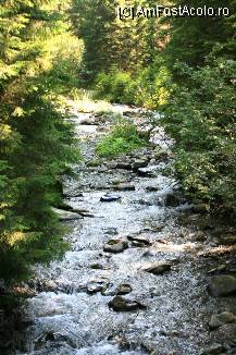 [P36] Paraul care trece prin apropierea Resortului » foto by mirelab
 - 
<span class="allrVoted glyphicon glyphicon-heart hidden" id="av112366"></span>
<a class="m-l-10 hidden" id="sv112366" onclick="voting_Foto_DelVot(,112366,6845)" role="button">șterge vot <span class="glyphicon glyphicon-remove"></span></a>
<a id="v9112366" class=" c-red"  onclick="voting_Foto_SetVot(112366)" role="button"><span class="glyphicon glyphicon-heart-empty"></span> <b>LIKE</b> = Votează poza</a> <img class="hidden"  id="f112366W9" src="/imagini/loader.gif" border="0" /><span class="AjErrMes hidden" id="e112366ErM"></span>