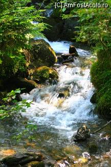 [P39]  -- <small>// FĂRĂ DESCRIERE</small> » foto by mirelab
 - 
<span class="allrVoted glyphicon glyphicon-heart hidden" id="av112370"></span>
<a class="m-l-10 hidden" id="sv112370" onclick="voting_Foto_DelVot(,112370,6845)" role="button">șterge vot <span class="glyphicon glyphicon-remove"></span></a>
<a id="v9112370" class=" c-red"  onclick="voting_Foto_SetVot(112370)" role="button"><span class="glyphicon glyphicon-heart-empty"></span> <b>LIKE</b> = Votează poza</a> <img class="hidden"  id="f112370W9" src="/imagini/loader.gif" border="0" /><span class="AjErrMes hidden" id="e112370ErM"></span>