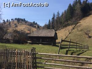 [P44] Mistral Moieciu. La plimbare...  » foto by Floria
 - 
<span class="allrVoted glyphicon glyphicon-heart hidden" id="av960147"></span>
<a class="m-l-10 hidden" id="sv960147" onclick="voting_Foto_DelVot(,960147,6845)" role="button">șterge vot <span class="glyphicon glyphicon-remove"></span></a>
<a id="v9960147" class=" c-red"  onclick="voting_Foto_SetVot(960147)" role="button"><span class="glyphicon glyphicon-heart-empty"></span> <b>LIKE</b> = Votează poza</a> <img class="hidden"  id="f960147W9" src="/imagini/loader.gif" border="0" /><span class="AjErrMes hidden" id="e960147ErM"></span>