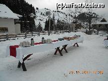 [P16]  -- <small>// FĂRĂ DESCRIERE</small> » foto by ROMY
 - 
<span class="allrVoted glyphicon glyphicon-heart hidden" id="av392788"></span>
<a class="m-l-10 hidden" id="sv392788" onclick="voting_Foto_DelVot(,392788,6845)" role="button">șterge vot <span class="glyphicon glyphicon-remove"></span></a>
<a id="v9392788" class=" c-red"  onclick="voting_Foto_SetVot(392788)" role="button"><span class="glyphicon glyphicon-heart-empty"></span> <b>LIKE</b> = Votează poza</a> <img class="hidden"  id="f392788W9" src="/imagini/loader.gif" border="0" /><span class="AjErrMes hidden" id="e392788ErM"></span>