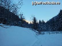 [P27]  -- <small>// FĂRĂ DESCRIERE</small> » foto by ROMY
 - 
<span class="allrVoted glyphicon glyphicon-heart hidden" id="av392799"></span>
<a class="m-l-10 hidden" id="sv392799" onclick="voting_Foto_DelVot(,392799,6845)" role="button">șterge vot <span class="glyphicon glyphicon-remove"></span></a>
<a id="v9392799" class=" c-red"  onclick="voting_Foto_SetVot(392799)" role="button"><span class="glyphicon glyphicon-heart-empty"></span> <b>LIKE</b> = Votează poza</a> <img class="hidden"  id="f392799W9" src="/imagini/loader.gif" border="0" /><span class="AjErrMes hidden" id="e392799ErM"></span>