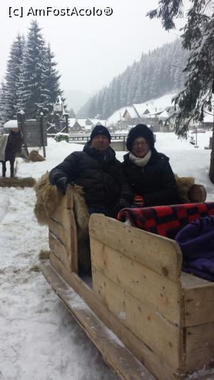 [P07] PLIMBARE CU SANIA » foto by mariana07
 - 
<span class="allrVoted glyphicon glyphicon-heart hidden" id="av948036"></span>
<a class="m-l-10 hidden" id="sv948036" onclick="voting_Foto_DelVot(,948036,6845)" role="button">șterge vot <span class="glyphicon glyphicon-remove"></span></a>
<a id="v9948036" class=" c-red"  onclick="voting_Foto_SetVot(948036)" role="button"><span class="glyphicon glyphicon-heart-empty"></span> <b>LIKE</b> = Votează poza</a> <img class="hidden"  id="f948036W9" src="/imagini/loader.gif" border="0" /><span class="AjErrMes hidden" id="e948036ErM"></span>