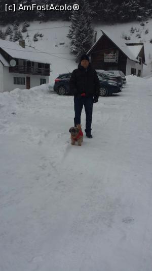 [P09] Biluta la plimbare » foto by mariana07
 - 
<span class="allrVoted glyphicon glyphicon-heart hidden" id="av948038"></span>
<a class="m-l-10 hidden" id="sv948038" onclick="voting_Foto_DelVot(,948038,6845)" role="button">șterge vot <span class="glyphicon glyphicon-remove"></span></a>
<a id="v9948038" class=" c-red"  onclick="voting_Foto_SetVot(948038)" role="button"><span class="glyphicon glyphicon-heart-empty"></span> <b>LIKE</b> = Votează poza</a> <img class="hidden"  id="f948038W9" src="/imagini/loader.gif" border="0" /><span class="AjErrMes hidden" id="e948038ErM"></span>