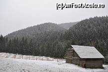 [P21] Si cind noi plecam, iarna venea fulg cu fulg. » foto by sforicel
 - 
<span class="allrVoted glyphicon glyphicon-heart hidden" id="av176102"></span>
<a class="m-l-10 hidden" id="sv176102" onclick="voting_Foto_DelVot(,176102,6845)" role="button">șterge vot <span class="glyphicon glyphicon-remove"></span></a>
<a id="v9176102" class=" c-red"  onclick="voting_Foto_SetVot(176102)" role="button"><span class="glyphicon glyphicon-heart-empty"></span> <b>LIKE</b> = Votează poza</a> <img class="hidden"  id="f176102W9" src="/imagini/loader.gif" border="0" /><span class="AjErrMes hidden" id="e176102ErM"></span>