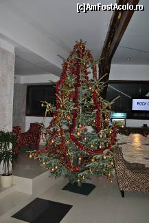 [P08] Bradul din holul pricipal. Erau nu mai putin de 5 brazi impodobiti in tot hotelul! » foto by sforicel
 - 
<span class="allrVoted glyphicon glyphicon-heart hidden" id="av176088"></span>
<a class="m-l-10 hidden" id="sv176088" onclick="voting_Foto_DelVot(,176088,6845)" role="button">șterge vot <span class="glyphicon glyphicon-remove"></span></a>
<a id="v9176088" class=" c-red"  onclick="voting_Foto_SetVot(176088)" role="button"><span class="glyphicon glyphicon-heart-empty"></span> <b>LIKE</b> = Votează poza</a> <img class="hidden"  id="f176088W9" src="/imagini/loader.gif" border="0" /><span class="AjErrMes hidden" id="e176088ErM"></span>