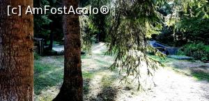 [P08] În grădina din spatele pensiunii. Undeva în spate se zăreşte păstrăvăria » foto by gettyy
 - 
<span class="allrVoted glyphicon glyphicon-heart hidden" id="av1103653"></span>
<a class="m-l-10 hidden" id="sv1103653" onclick="voting_Foto_DelVot(,1103653,6868)" role="button">șterge vot <span class="glyphicon glyphicon-remove"></span></a>
<a id="v91103653" class=" c-red"  onclick="voting_Foto_SetVot(1103653)" role="button"><span class="glyphicon glyphicon-heart-empty"></span> <b>LIKE</b> = Votează poza</a> <img class="hidden"  id="f1103653W9" src="/imagini/loader.gif" border="0" /><span class="AjErrMes hidden" id="e1103653ErM"></span>