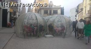 [P18] Constanța 2024 » foto by Mioritik
 - 
<span class="allrVoted glyphicon glyphicon-heart hidden" id="av1409235"></span>
<a class="m-l-10 hidden" id="sv1409235" onclick="voting_Foto_DelVot(,1409235,6877)" role="button">șterge vot <span class="glyphicon glyphicon-remove"></span></a>
<a id="v91409235" class=" c-red"  onclick="voting_Foto_SetVot(1409235)" role="button"><span class="glyphicon glyphicon-heart-empty"></span> <b>LIKE</b> = Votează poza</a> <img class="hidden"  id="f1409235W9" src="/imagini/loader.gif" border="0" /><span class="AjErrMes hidden" id="e1409235ErM"></span>