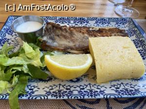 [P13] Cherhana Pontica, Chefal la plită la meniul zilei. » foto by Floria
 - 
<span class="allrVoted glyphicon glyphicon-heart hidden" id="av1519464"></span>
<a class="m-l-10 hidden" id="sv1519464" onclick="voting_Foto_DelVot(,1519464,6877)" role="button">șterge vot <span class="glyphicon glyphicon-remove"></span></a>
<a id="v91519464" class=" c-red"  onclick="voting_Foto_SetVot(1519464)" role="button"><span class="glyphicon glyphicon-heart-empty"></span> <b>LIKE</b> = Votează poza</a> <img class="hidden"  id="f1519464W9" src="/imagini/loader.gif" border="0" /><span class="AjErrMes hidden" id="e1519464ErM"></span>