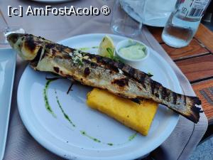 [P25] Bistro Esplanada » foto by crismis
 - 
<span class="allrVoted glyphicon glyphicon-heart hidden" id="av1460204"></span>
<a class="m-l-10 hidden" id="sv1460204" onclick="voting_Foto_DelVot(,1460204,6877)" role="button">șterge vot <span class="glyphicon glyphicon-remove"></span></a>
<a id="v91460204" class=" c-red"  onclick="voting_Foto_SetVot(1460204)" role="button"><span class="glyphicon glyphicon-heart-empty"></span> <b>LIKE</b> = Votează poza</a> <img class="hidden"  id="f1460204W9" src="/imagini/loader.gif" border="0" /><span class="AjErrMes hidden" id="e1460204ErM"></span>